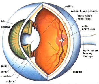 eye_diagram.jpg